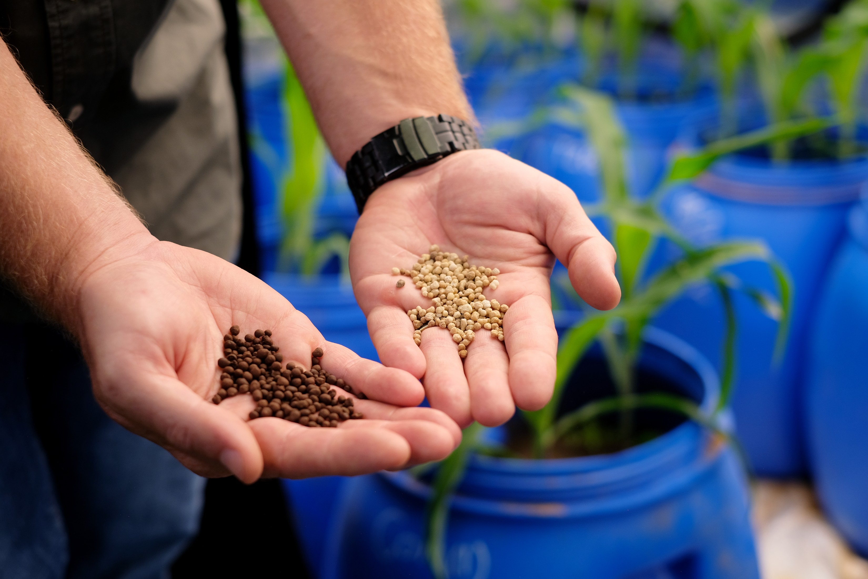 EL-I Tech treated granules — landscape framing showing application-ready product